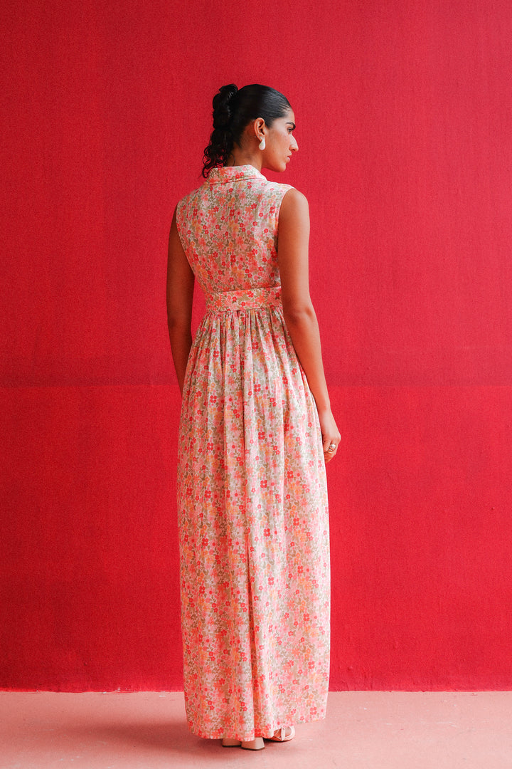 OIA MAXI