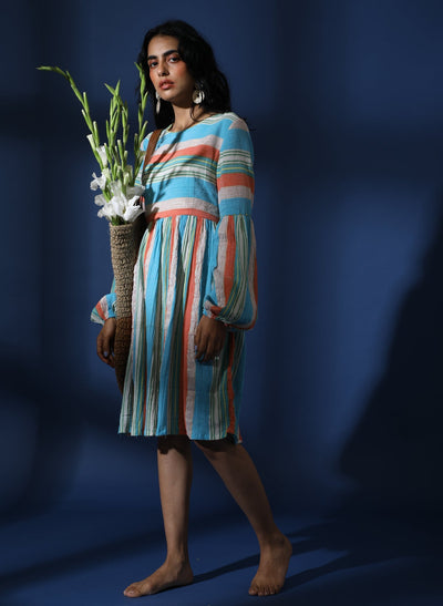 Women's Wildflower Swing Dress