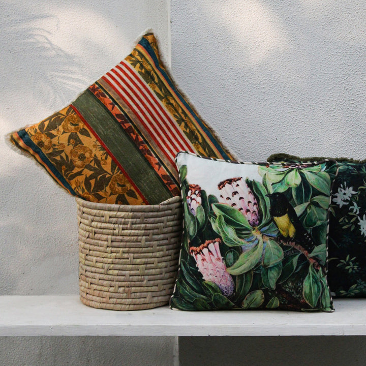 Shop Curly Willow Printed Cover