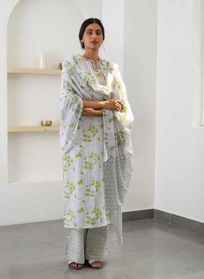 Women's Cotton Printed Straight Kurta